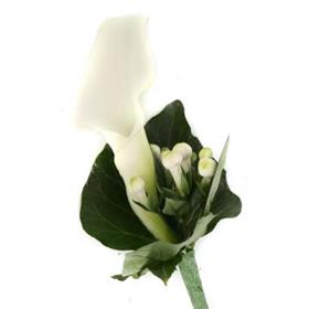 fwthumbCala Lily and Brouvadia Button Hole Wedding Flowers Sheffield-600x400.jpg